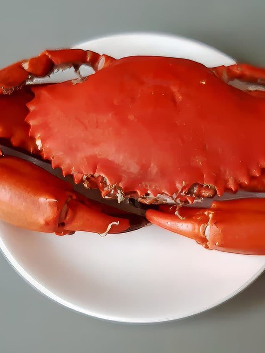 King Crab